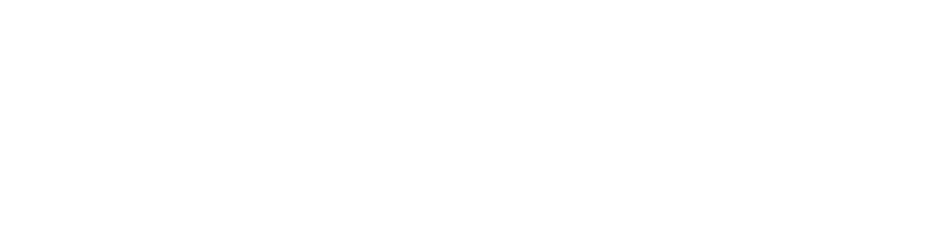 Voyee